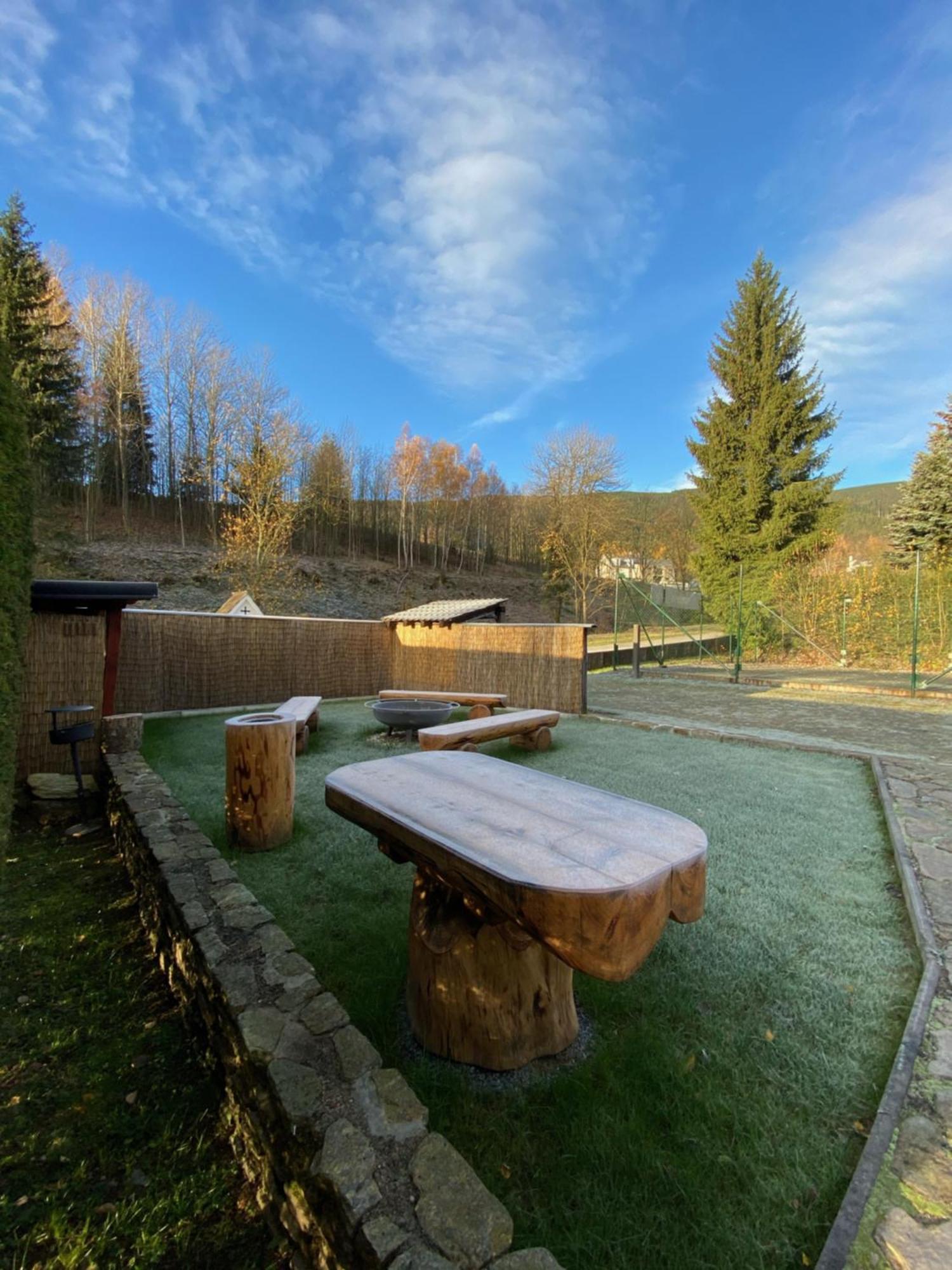Horsky Hotel Snezenka Hynčice pod Sušinou Exterior foto